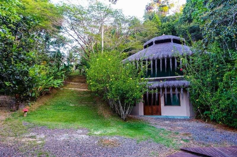 Spirit Vine Ayahuasca Retreats