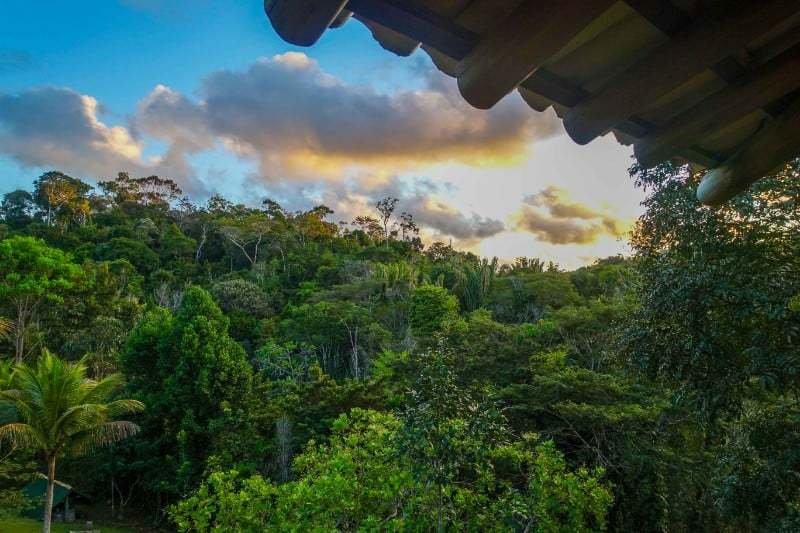 Spirit Vine Ayahuasca Retreats