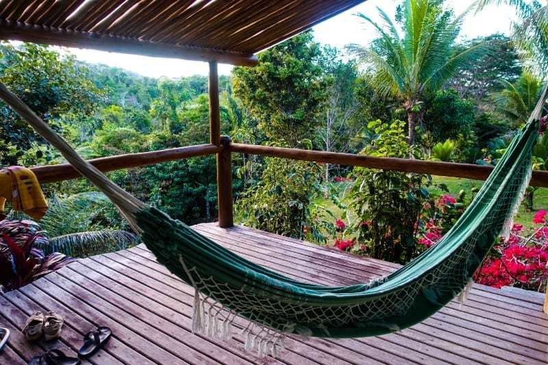 Spirit Vine Ayahuasca Retreats