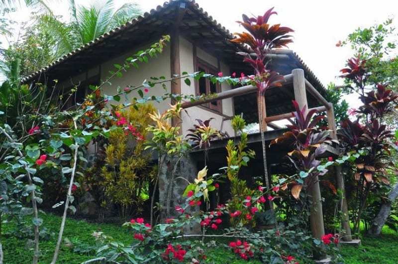 Spirit Vine Ayahuasca Retreats