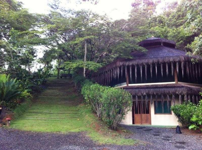 Spirit Vine Ayahuasca Retreats