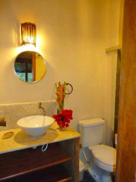 Spirit Vine Ayahuasca Retreats