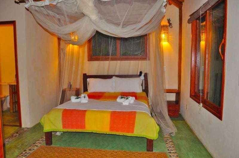 Spirit Vine Ayahuasca Retreats