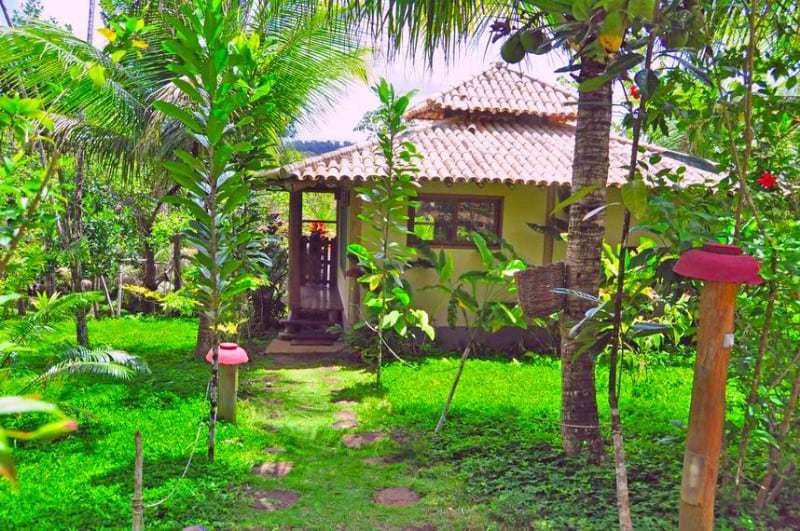 Spirit Vine Ayahuasca Retreats