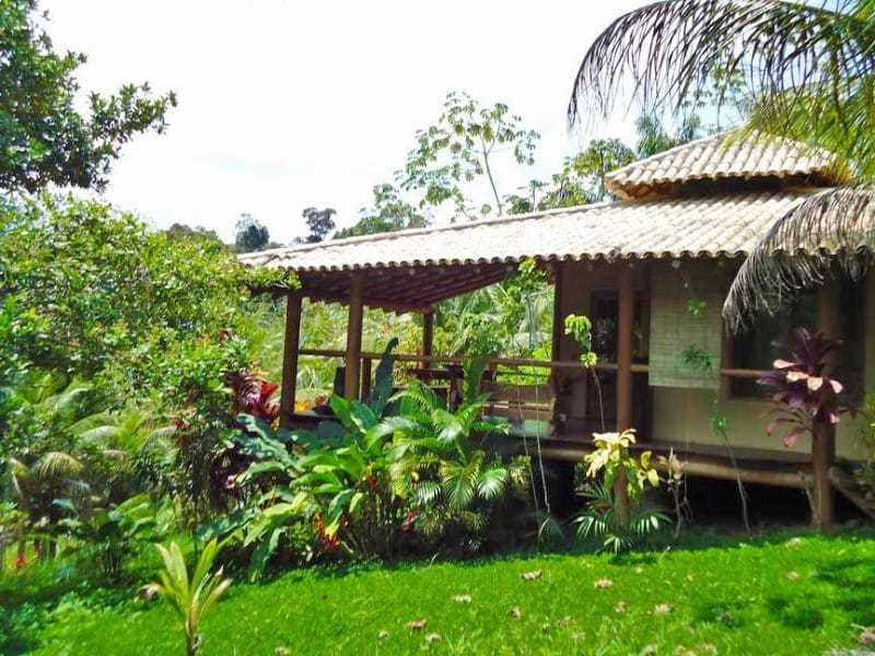 Spirit Vine Ayahuasca Retreats