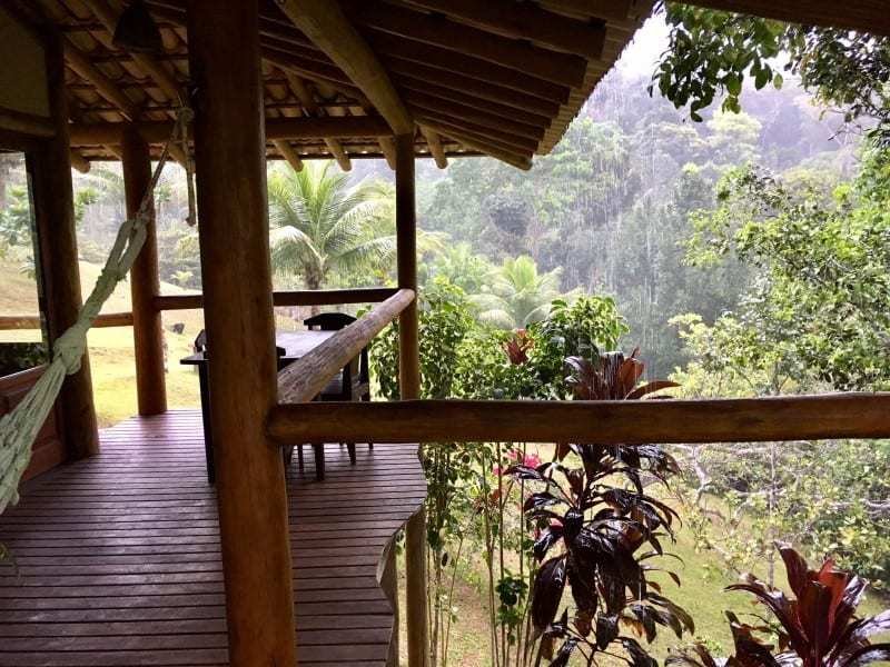 Spirit Vine Ayahuasca Retreats