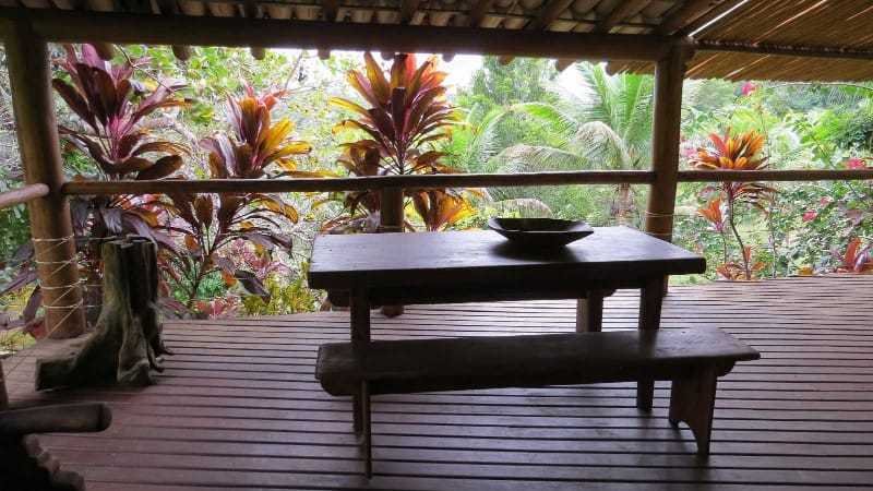 Spirit Vine Ayahuasca Retreats