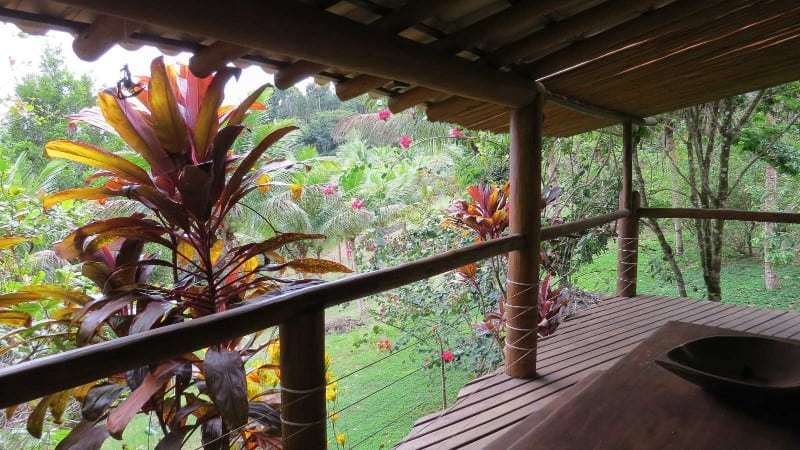 Spirit Vine Ayahuasca Retreats