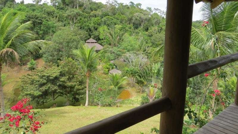 Spirit Vine Ayahuasca Retreats