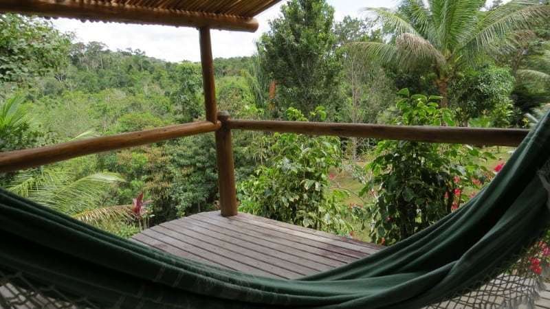 Spirit Vine Ayahuasca Retreats