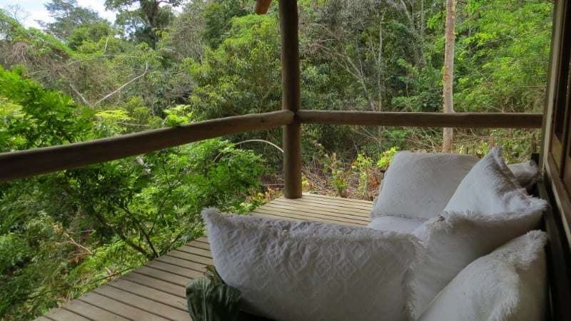 Spirit Vine Ayahuasca Retreats