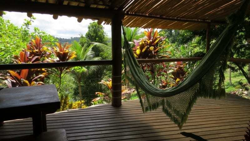 Spirit Vine Ayahuasca Retreats