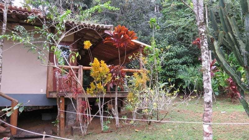 Spirit Vine Ayahuasca Retreats