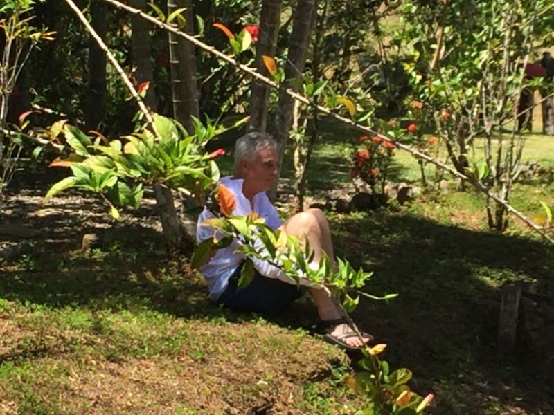 Spirit Vine Ayahuasca Retreats