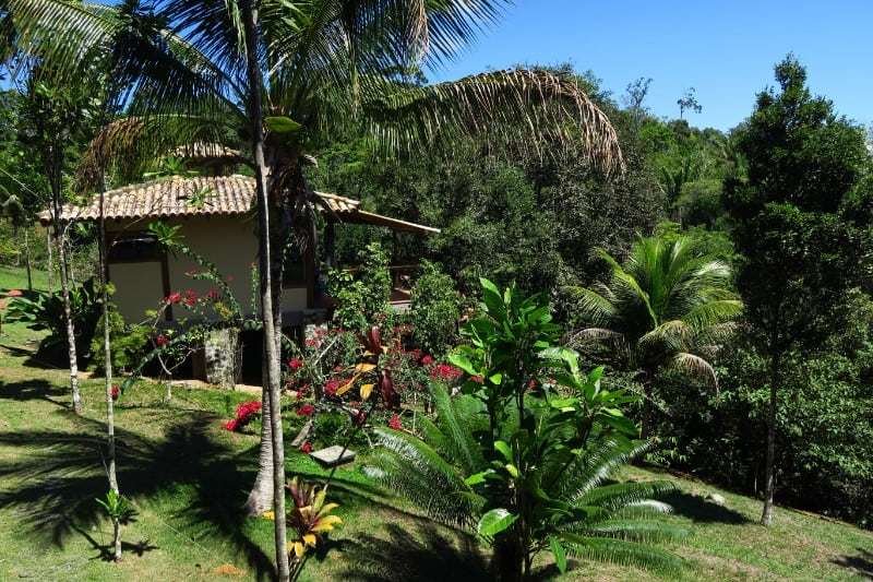 Spirit Vine Ayahuasca Retreats