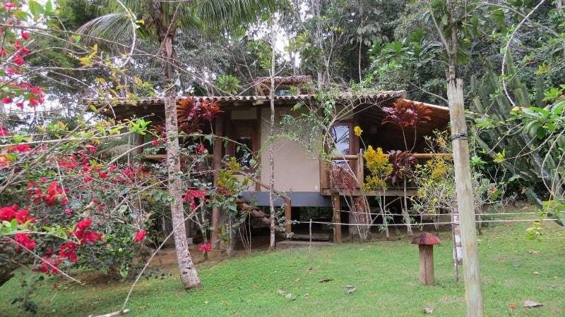 Spirit Vine Ayahuasca Retreats