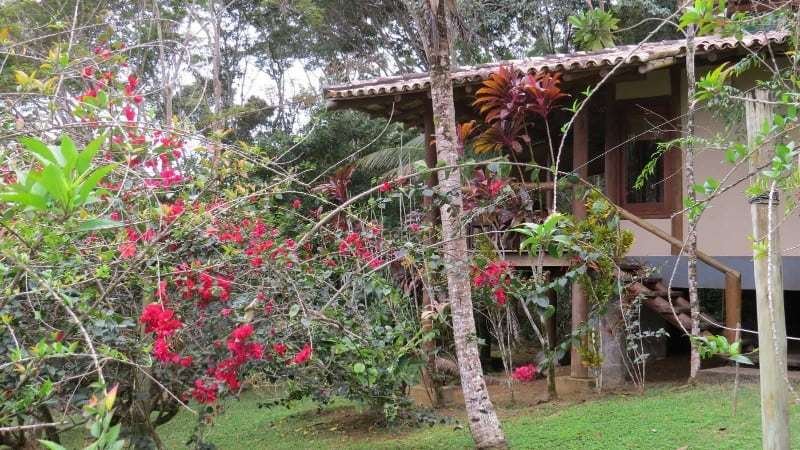 Spirit Vine Ayahuasca Retreats