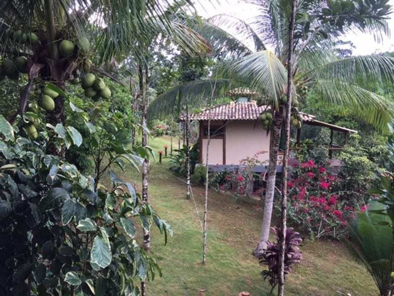 Spirit Vine Ayahuasca Retreats