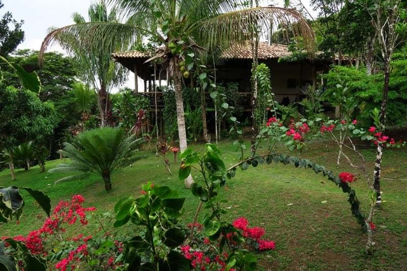 Spirit Vine Ayahuasca Retreats