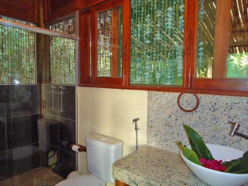 Spirit Vine Ayahuasca Retreats