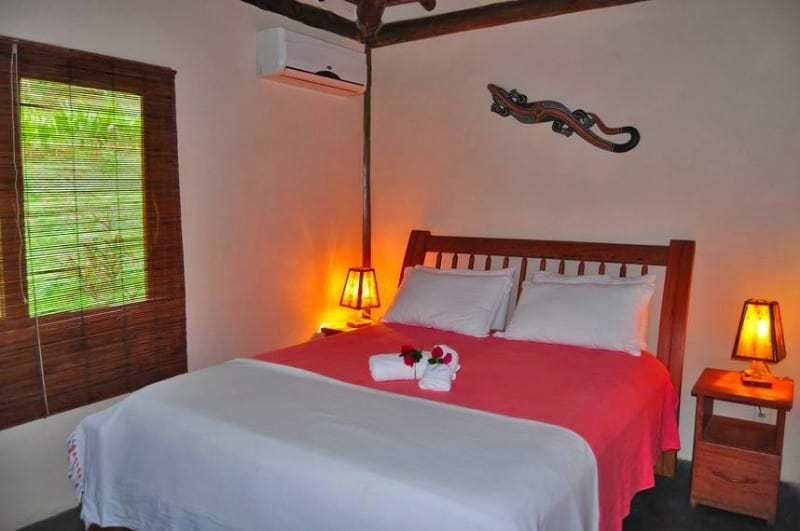 Spirit Vine Ayahuasca Retreats