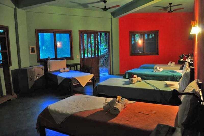 Spirit Vine Ayahuasca Retreats