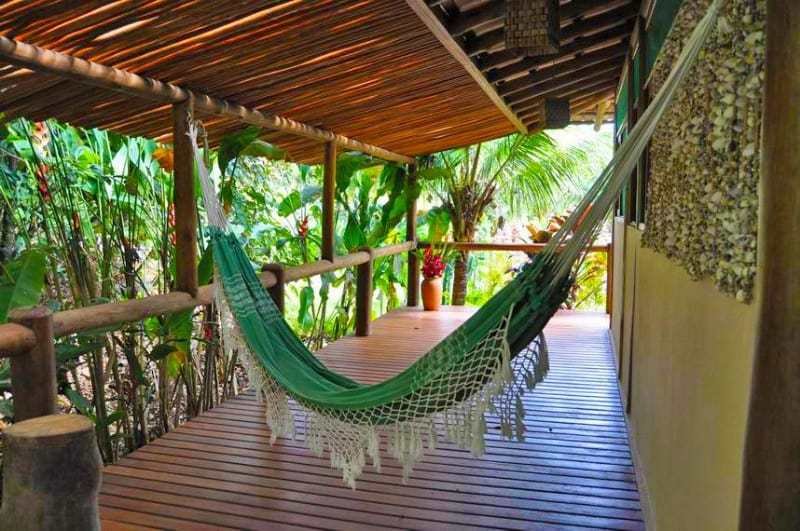 Spirit Vine Ayahuasca Retreats