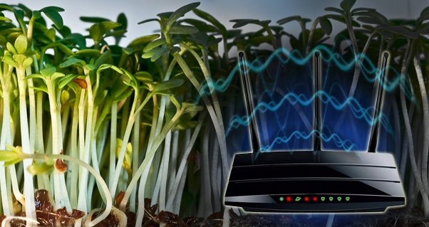 25285wireless_678x320_front