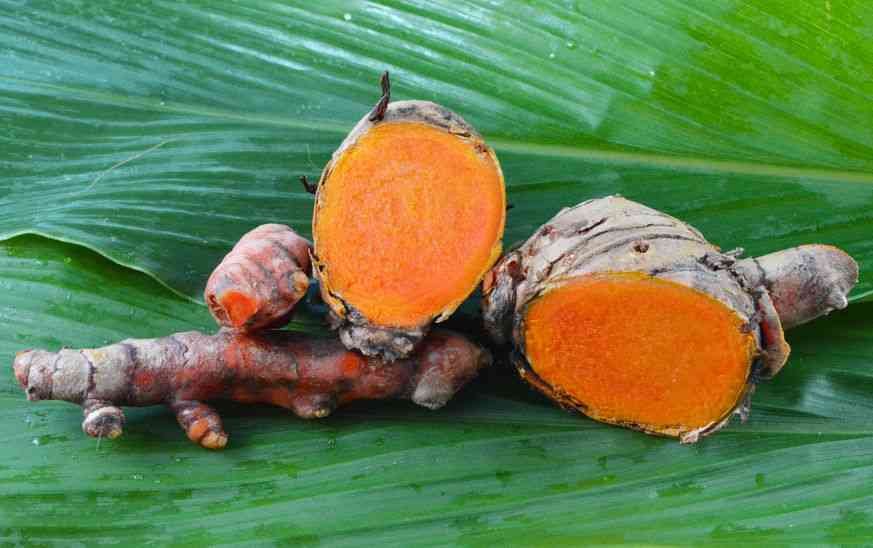 turmeric_compassion_healing