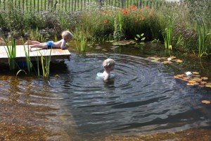 The-Most-Natural-Organic-Pool-You-Can-Build-Yourself-300x200