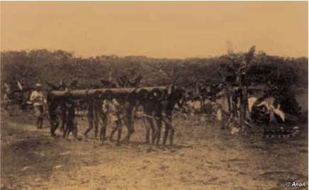 rubber-boom-uitoto_screen