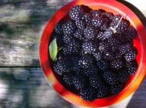 blackberry-300x222