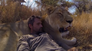 Animal communicator Kevin Richardson with lion.
