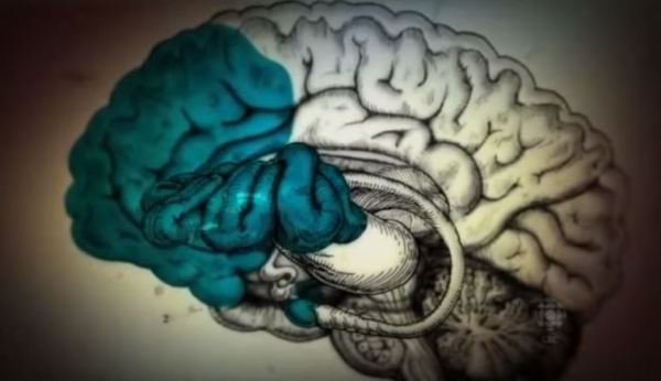 The-3-Parts-Working-Together