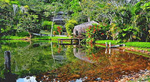 Pond´s view at Spirit Vine Retreats