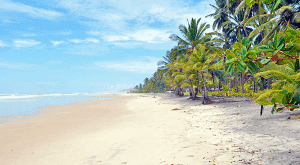 Spirit Vine ayahuasca retreats nearby beaches 1