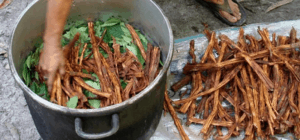 ayahuasca tea being brewed in a pot with chakruna leaves - Spirit Vine Retreats blog, what is ayahuasca?