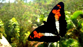 Course materials and guides at Spirit Vine Retreats