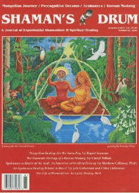 Shaman´s drum article about Spirit Vine retreats