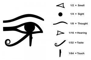 senses hieroglyphs