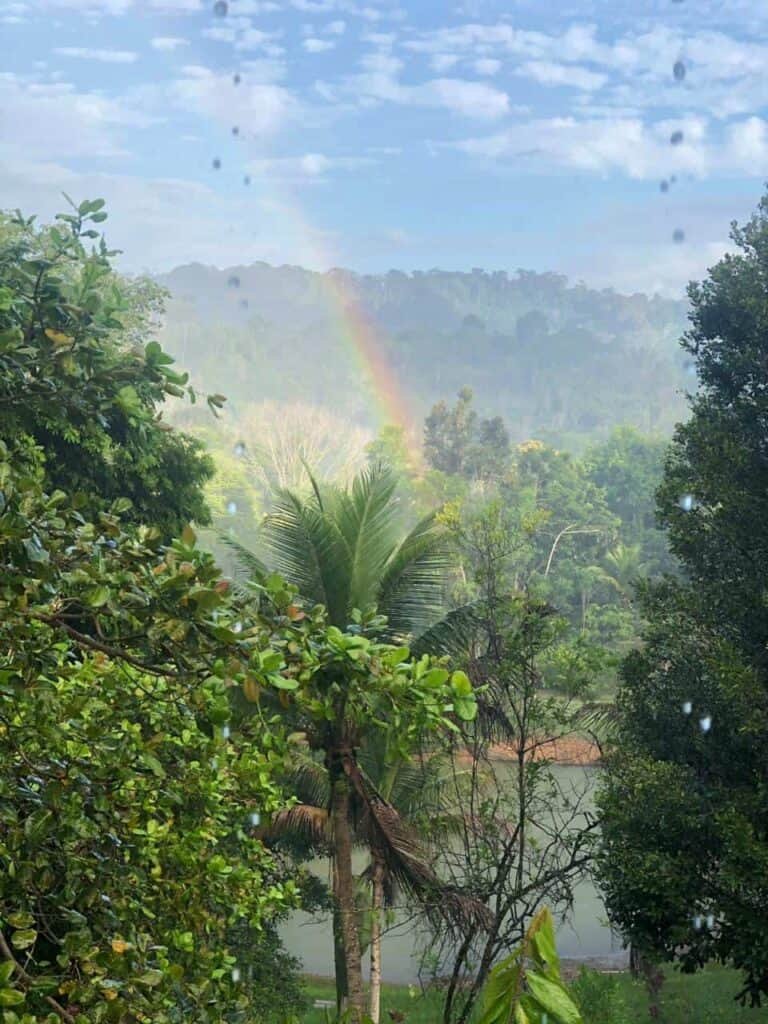 WhatsApp Image 2019-03-07 at 7.42.59 AM