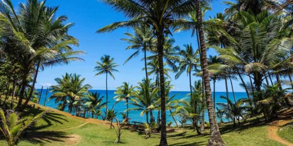 How to Choose an Ayahuasca Spiritual Retreat: A Practical Guide